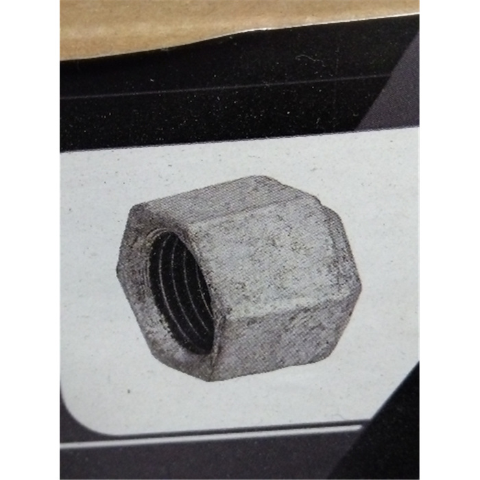 BOUCHON F 3/4 GALVA SACHET 1 PIECE BOUCHON F 3/4 GALVA SACHET 1 PIECE