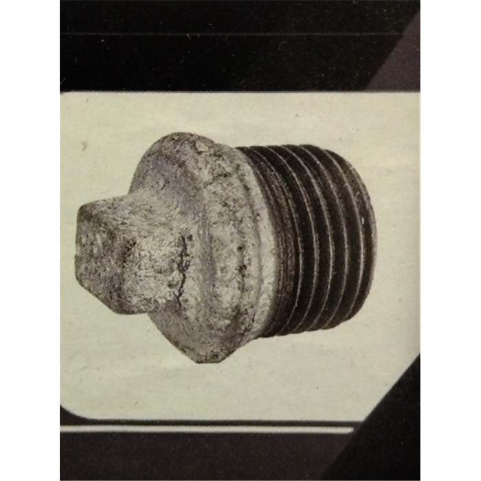 BOUCHON TÊTE CARRÉE M 3/4 GALVA SACHET 1 PIÈCE BOUCHON TÊTE CARRÉE M 3/4 GALVA SACHET 1 PIÈCE