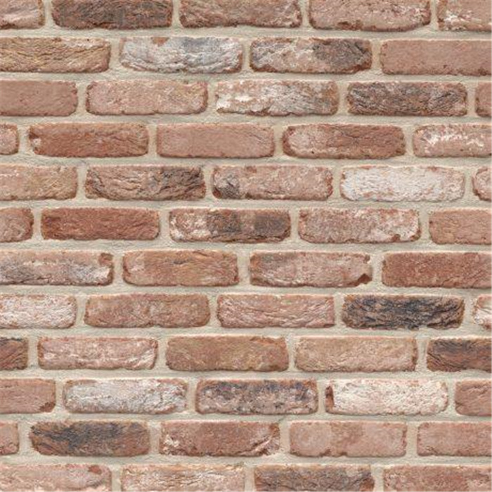 BRIQUE BELLE EPOQUE DE NAMUR WDF - 215 x 102,5 x 65 57,21 PCES PAR M2 (PERUWELZ) BRIQUE BELLE EPOQUE DE NAMUR WDF - 215 x 102,5 x 65 57,21 PCES PAR M2 (PERUWELZ)