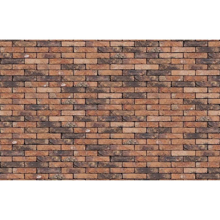 BRIQUE CASTELLO ORANGE WF (WV50) 20,9CMX9,9CMX5CM 72 PC/M2 JOINT 12MM (BEEK) BRIQUE CASTELLO ORANGE WF (WV50) 20,9CMX9,9CMX5CM 72 PC/M2 JOINT 12MM (BEEK)