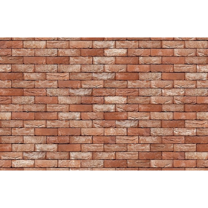 BRIQUE CAYENNE M50 19,2CMX9CMX4,9CM 83 PC/M2 JOINT 12MM (SPOUWEN) BRIQUE CAYENNE M50 19,2CMX9CMX4,9CM 83 PC/M2 JOINT 12MM (SPOUWEN)