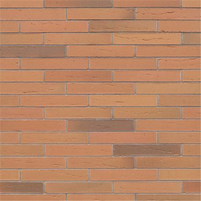 BRIQUE ELIGNIA BETULA ECO-BRICK MF - 288 x 65 x 48 55,56 PCES AU M2 (KORTEMARK) BRIQUE ELIGNIA BETULA ECO-BRICK MF - 288 x 65 x 48 55,56 PCES AU M2 (KORTEMARK)