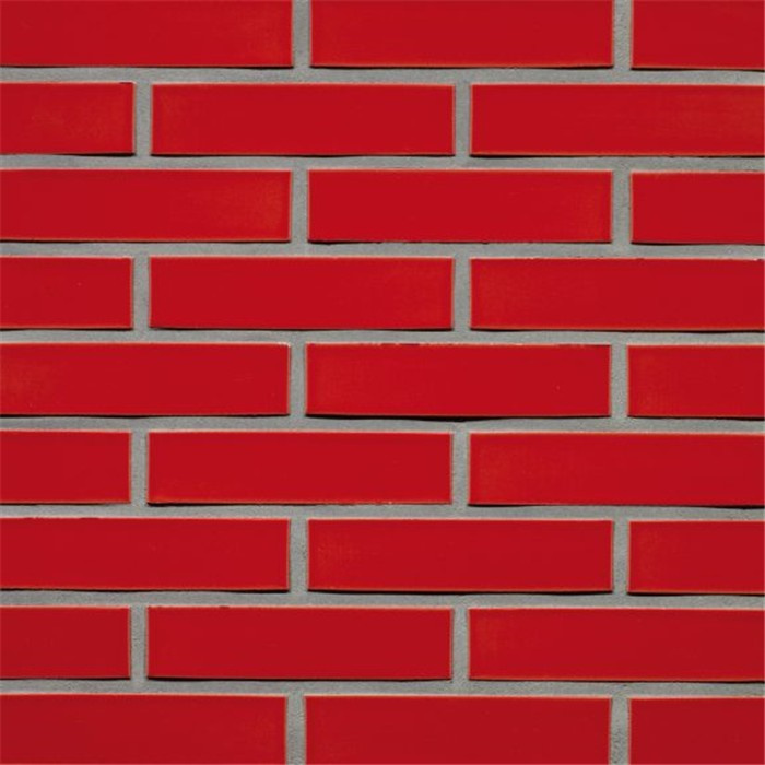 BRIQUE EMAILLÉES ROUGE WF - 210 x 99 x 51 71,5 PCES PAR M2 (PANNINGEN) BRIQUE EMAILLÉES ROUGE WF - 210 x 99 x 51 71,5 PCES PAR M2 (PANNINGEN)