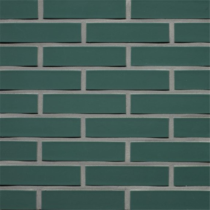 BRIQUE EMAILLÉES VERT WF - 210 x 99 x 51 71,5 PCES PAR M2 (PANNINGEN) BRIQUE EMAILLÉES VERT WF - 210 x 99 x 51 71,5 PCES PAR M2 (PANNINGEN)