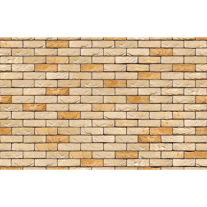 BRIQUE FLANDRE LITTORAL DF(WV65) 21,4CMX10,1CMX6,6CM 58 PC/M2 JOINT 12MM (LANKLAAR) BRIQUE FLANDRE LITTORAL DF(WV65) 21,4CMX10,1CMX6,6CM 58 PC/M2 JOINT 12MM (LANKLAAR)