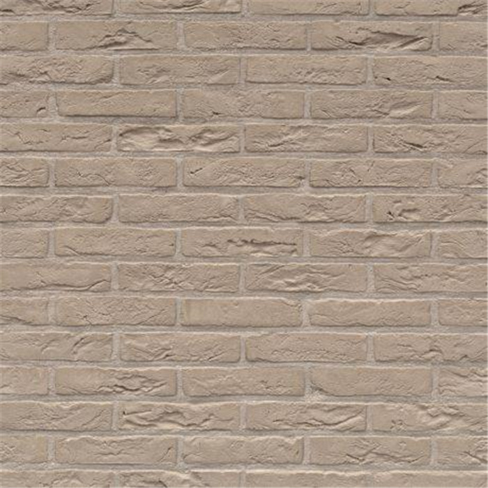 BRIQUE FORUM PRATA WDF - 215 x 102 x 65 57,21 PCES PAR M2 (BEERSE) BRIQUE FORUM PRATA WDF - 215 x 102 x 65 57,21 PCES PAR M2 (BEERSE)