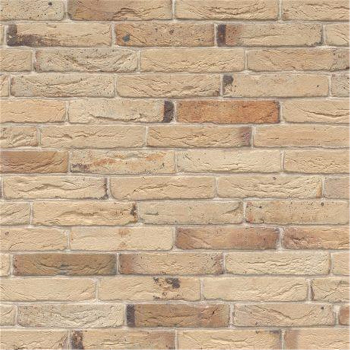 BRIQUE LINAQUA BLANC SINTRA ECO-BRICK SF - 256 x 67 x 58 53,3 PCES PAR M2 (MAASEIK) BRIQUE LINAQUA BLANC SINTRA ECO-BRICK SF - 256 x 67 x 58 53,3 PCES PAR M2 (MAASEIK)