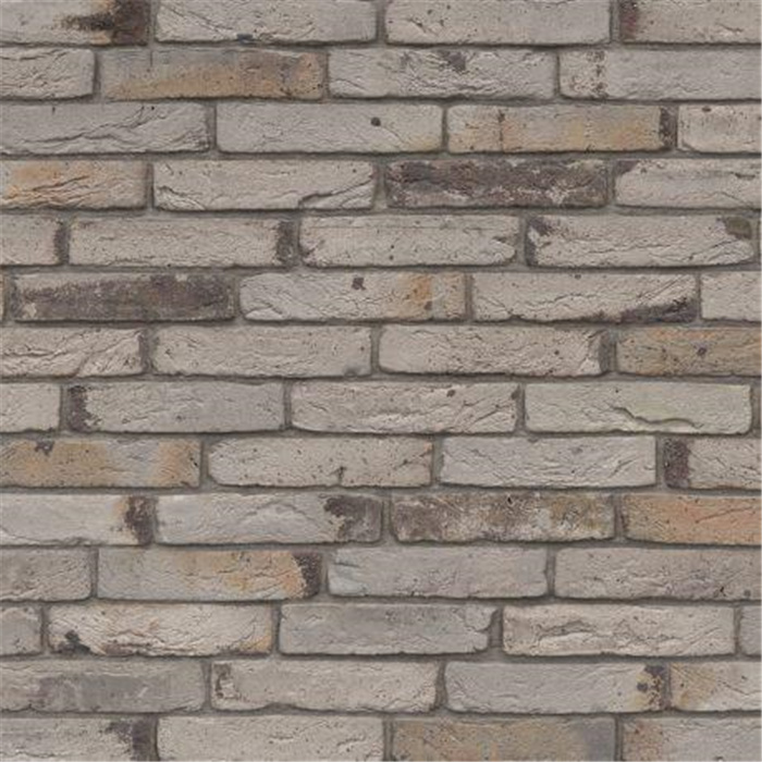 BRIQUE LINAQUA GRIS GUNA ECO-BRICK SF - 256 x 67 x 58 53,3 PCES PAR M2 (LANAKEN) BRIQUE LINAQUA GRIS GUNA ECO-BRICK SF - 256 x 67 x 58 53,3 PCES PAR M2 (LANAKEN)