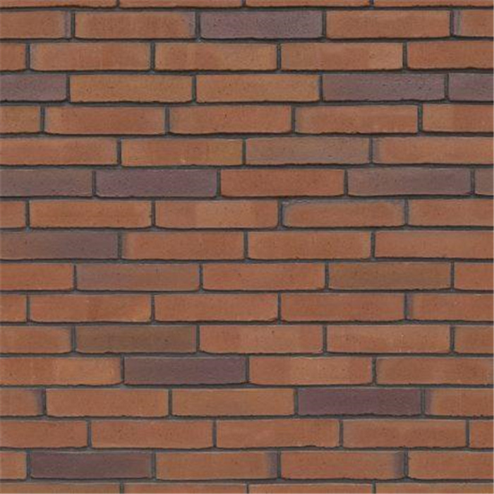 BRIQUE MILOSA GOUDSBLOEM WF - 209 x 100 x 49 74,18 PCES AU M2 (HAAFTEN) BRIQUE MILOSA GOUDSBLOEM WF - 209 x 100 x 49 74,18 PCES AU M2 (HAAFTEN)