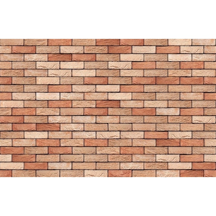 BRIQUE NEO MAGNOLIA DF(WV65) 21,3CMX10CMX6,6CM 58 PC/M2 JOINT 12MM (LANKLAAR) BRIQUE NEO MAGNOLIA DF(WV65) 21,3CMX10CMX6,6CM 58 PC/M2 JOINT 12MM (LANKLAAR)