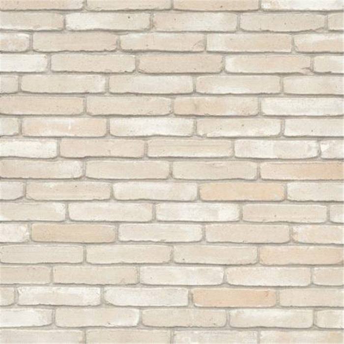 BRIQUE NUBILUM BEIGE VELUM ECO-BRICK WF - 210 x 65 x 50 72,65 PCES PAR M2 (BEERSE) BRIQUE NUBILUM BEIGE VELUM ECO-BRICK WF - 210 x 65 x 50 72,65 PCES PAR M2 (BEERSE)