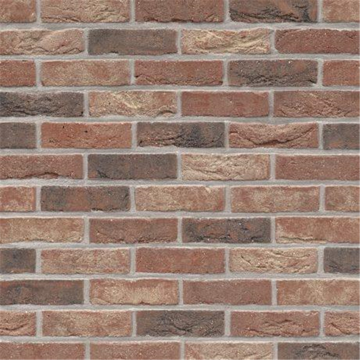 BRIQUE PATRIMONIA BAROK 83 WDF - 215 x 102 x 65 57,21 PCES PAR M2 (BEERSE) BRIQUE PATRIMONIA BAROK 83 WDF - 215 x 102 x 65 57,21 PCES PAR M2 (BEERSE)