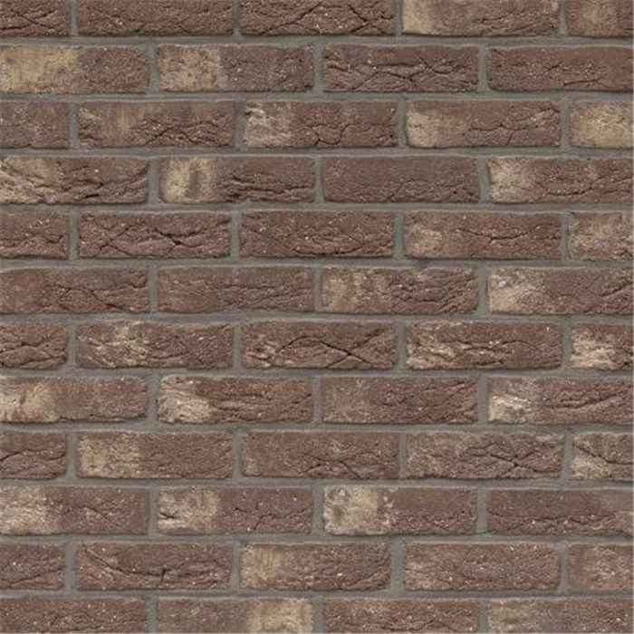 BRIQUE PATRIMONIA VIEUX ROMAANS ECO-BRICK WDF - 215 x 65 x 65 57,21 PCES PAR M2 (LANAKEN) BRIQUE PATRIMONIA VIEUX ROMAANS ECO-BRICK WDF - 215 x 65 x 65 57,21 PCES PAR M2 (LANAKEN)