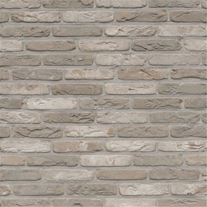 BRIQUE RUSTICA OUD BACHTE ECO-BRICK WF - 215 x 65 x 50 71,05 PCES PAR M2 (BEERSE) BRIQUE RUSTICA OUD BACHTE ECO-BRICK WF - 215 x 65 x 50 71,05 PCES PAR M2 (BEERSE)