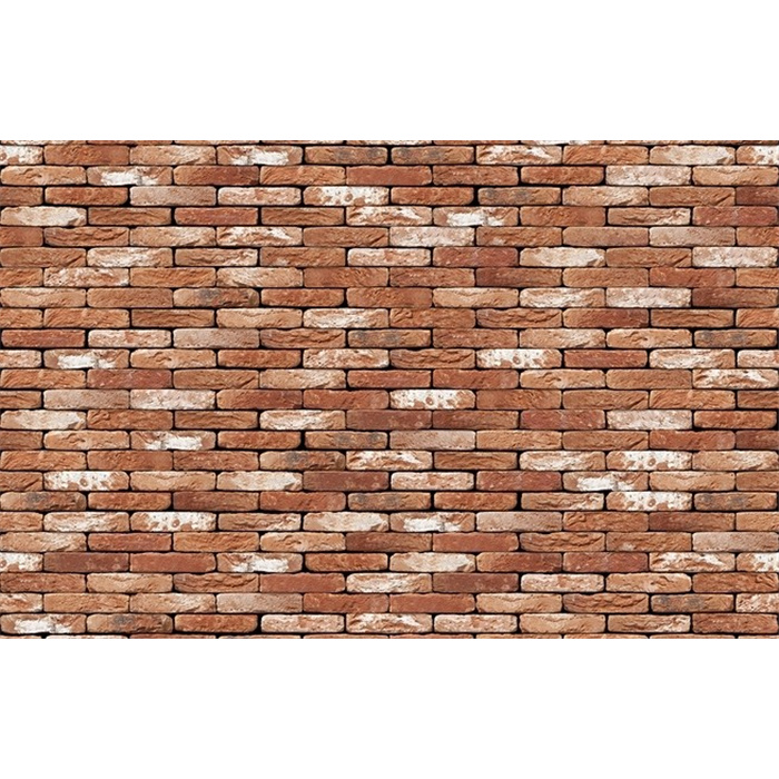 BRIQUE VIEILLE CHAPELLE M50 19CMX9CMX5CM 83 PC/M2 JOINT 12MM (SPOUWEN) BRIQUE VIEILLE CHAPELLE M50 19CMX9CMX5CM 83 PC/M2 JOINT 12MM (SPOUWEN)