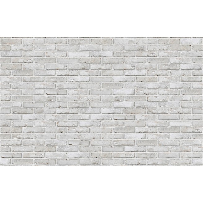 BRIQUE WAPPER SILVER WF (WV50) 20,9CMX9,9CMX5CM 72 PC/M2 JOINT 12MM (BEEK) BRIQUE WAPPER SILVER WF (WV50) 20,9CMX9,9CMX5CM 72 PC/M2 JOINT 12MM (BEEK)