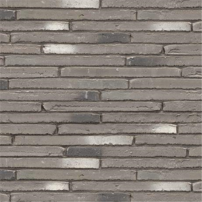 BRIQUE WASSERSTRICH SPECIAL GRIS QUARTZ LF - 510 x 100 x 40 36,84 PCES PAR M2(BEERSE) BRIQUE WASSERSTRICH SPECIAL GRIS QUARTZ LF - 510 x 100 x 40 36,84 PCES PAR M2(BEERSE)