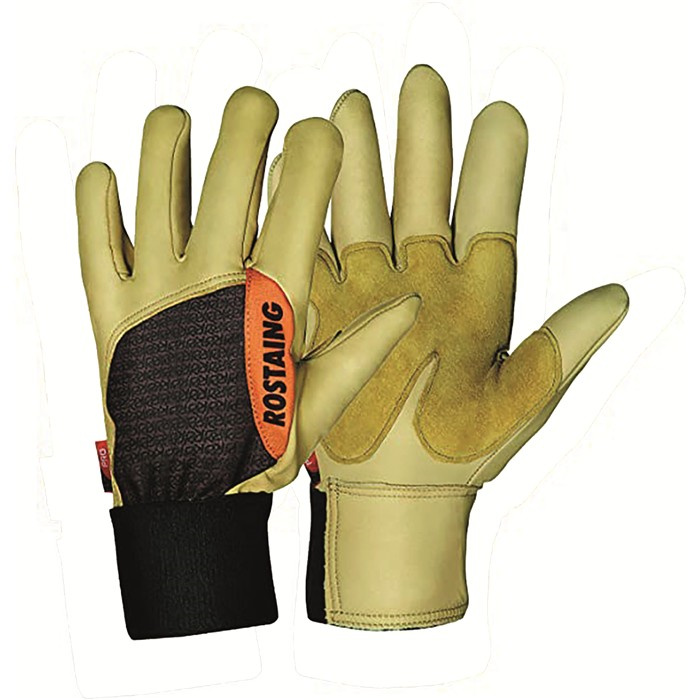 GANTS FOREST 9/L GANTS FOREST 9/L