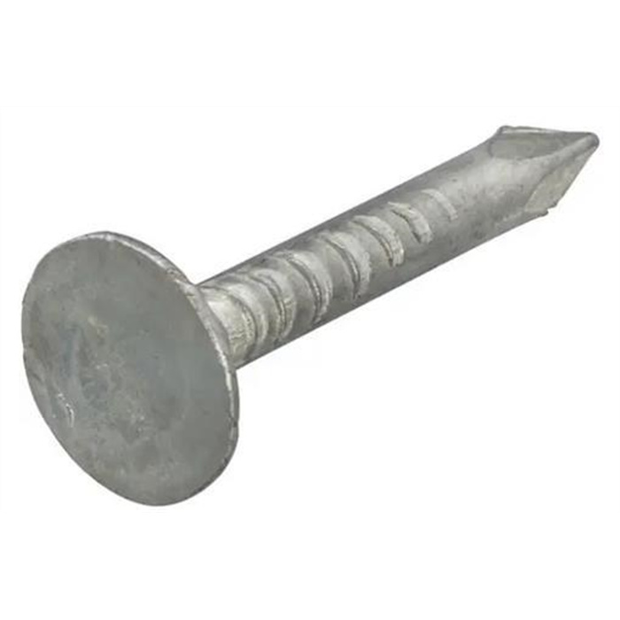 HOMEFIX CLOU POUR BARDEAU ASPHALTE ZINGUÉ 3.0X20 (1KG) HOMEFIX CLOU POUR BARDEAU ASPHALTE ZINGUÉ 3.0X20 (1KG)