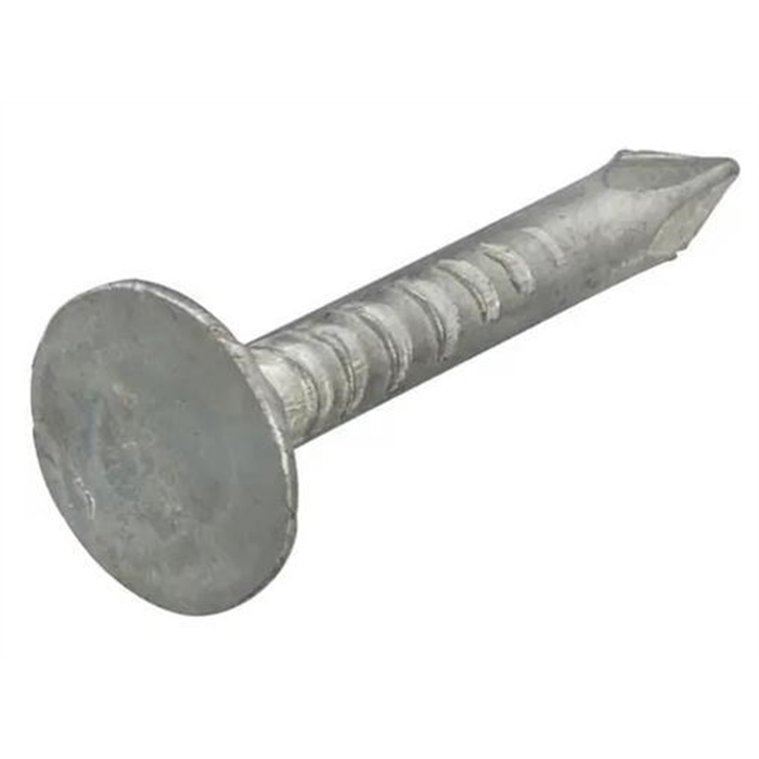 HOMEFIX CLOU POUR BARDEAU ASPHALTE ZINGUÉ 3.0X25 (1KG) HOMEFIX CLOU POUR BARDEAU ASPHALTE ZINGUÉ 3.0X25 (1KG)