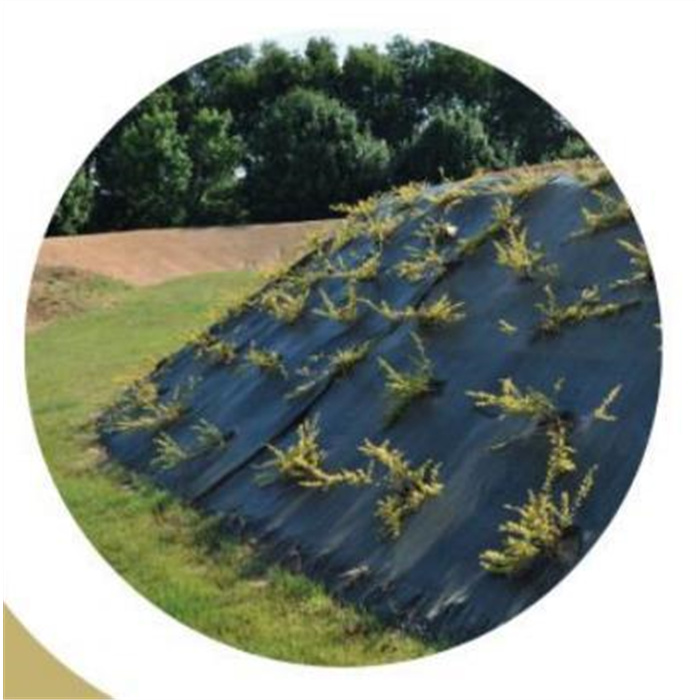 PLANTCOSOL GÉOTEXTILE 130G/M2 - ROULEAU 2M X 50ML - 100M2 PLANTCOSOL GÉOTEXTILE 130G/M2 - ROULEAU 2M X 50ML - 100M2