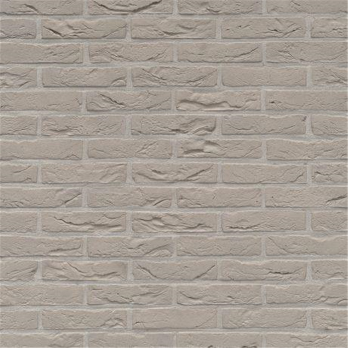 PLAQUETTE 22MM AGORA GRIS ARGENTÉ WDF - 215 x 22 x 65 57,21 PCES PAR M2 (BEERSE) PLAQUETTE 22MM AGORA GRIS ARGENTÉ WDF - 215 x 22 x 65 57,21 PCES PAR M2 (BEERSE)