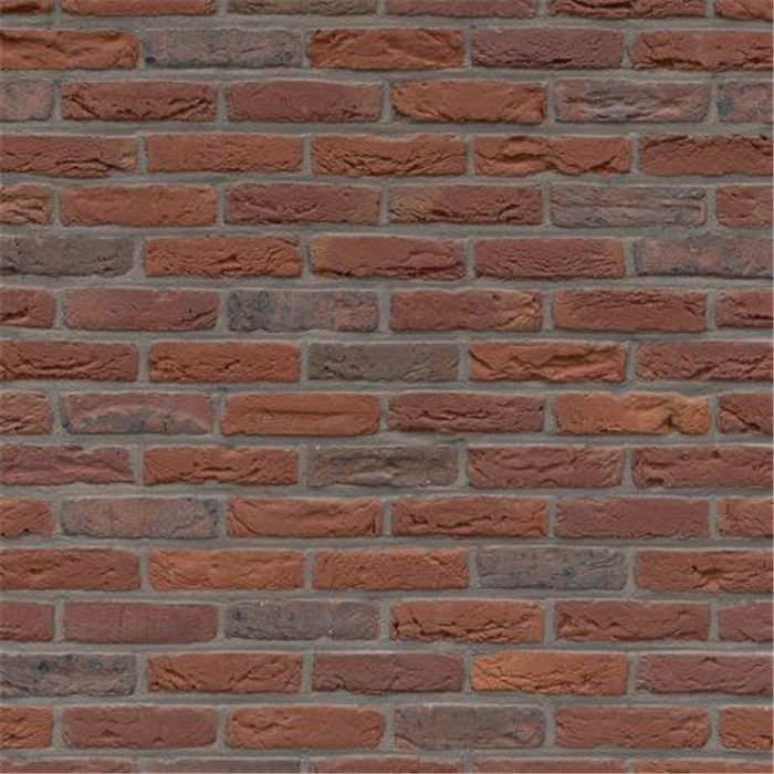 PLAQUETTE 22MM ARTIZA MAASEIKER BONT WF - 210 X 22 X 50 72,65 PCES PAR M2 (BEERSE) PLAQUETTE 22MM ARTIZA MAASEIKER BONT WF - 210 X 22 X 50 72,65 PCES PAR M2 (BEERSE)