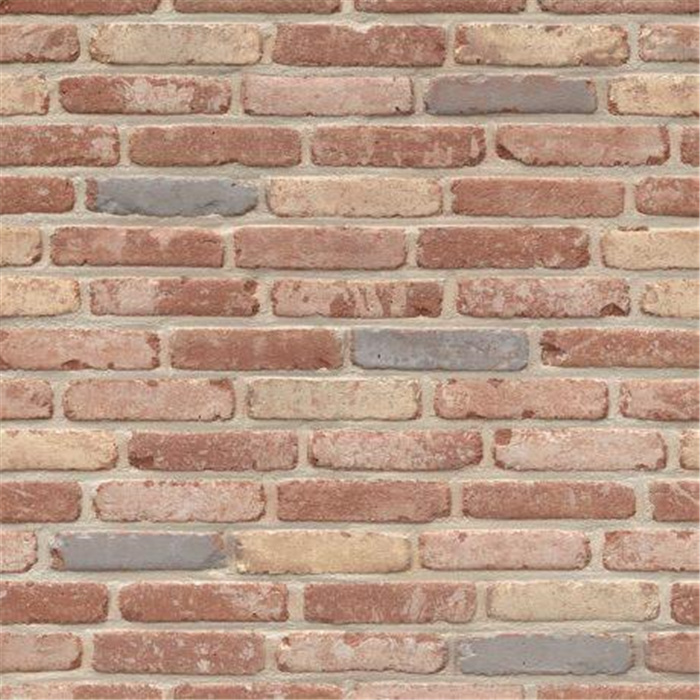 PLAQUETTE 22MM BELLE EPOQUE DE MONS WDF - 215 x 22 x 65 57,21 PCES PAR M2 (BEERSE) PLAQUETTE 22MM BELLE EPOQUE DE MONS WDF - 215 x 22 x 65 57,21 PCES PAR M2 (BEERSE)