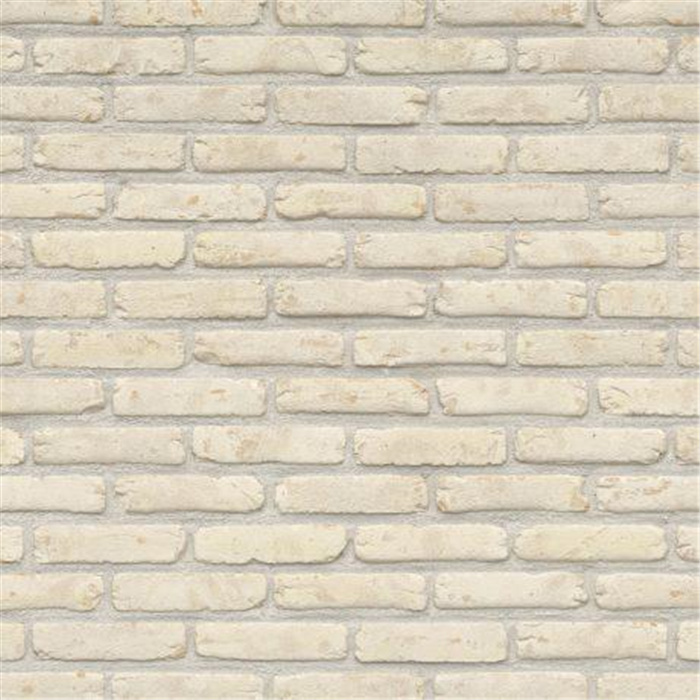 PLAQUETTE 22MM DOMUS COLOMBE M50 - 188 x 22 x 48 83,33 PCES PAR M2 (BEERSE) PLAQUETTE 22MM DOMUS COLOMBE M50 - 188 x 22 x 48 83,33 PCES PAR M2 (BEERSE)
