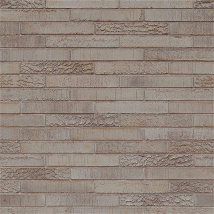 PLAQUETTE 22MM ELIGNIA GRIS MAGMA ECO-BRICK MF - 288 X 22 X 48 55,56 PCES PAR M2 (BEERSE) PLAQUETTE 22MM ELIGNIA GRIS MAGMA ECO-BRICK MF - 288 X 22 X 48 55,56 PCES PAR M2 (BEERSE)