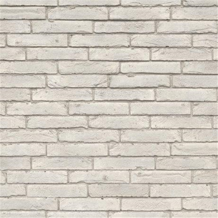 PLAQUETTE 22MM IMPERIUM BLANC ALBIUS ECO-BRICK RF - 238 X 22 X 40 76,92 PCES PAR M2 (BEERSE) PLAQUETTE 22MM IMPERIUM BLANC ALBIUS ECO-BRICK RF - 238 X 22 X 40 76,92 PCES PAR M2 (BEERSE)