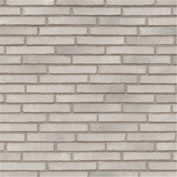 PLAQUETTE 22MM METROPOLIS GRIS SONIC ECO-BRICK RF - 240 X 22 X 40 76,31 PCES PAR M2 (BEERSE) PLAQUETTE 22MM METROPOLIS GRIS SONIC ECO-BRICK RF - 240 X 22 X 40 76,31 PCES PAR M2 (BEERSE)