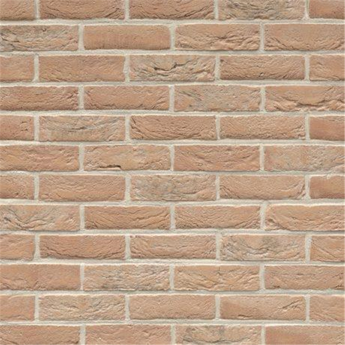 PLAQUETTE 22MM PATRIMONIA FLEUR DE POMMIER WDF - 215 X 22 X 65 57,21 PCES PAR M2 (BEERSE) PLAQUETTE 22MM PATRIMONIA FLEUR DE POMMIER WDF - 215 X 22 X 65 57,21 PCES PAR M2 (BEERSE)