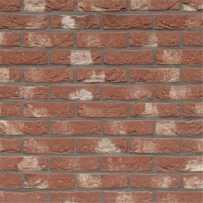 PLAQUETTE 22MM PATRIMONIA NEO ROMAANS WDF - 215 X 22 X 65 58,22 PCES PAR M2 (BEERSE) PLAQUETTE 22MM PATRIMONIA NEO ROMAANS WDF - 215 X 22 X 65 58,22 PCES PAR M2 (BEERSE)