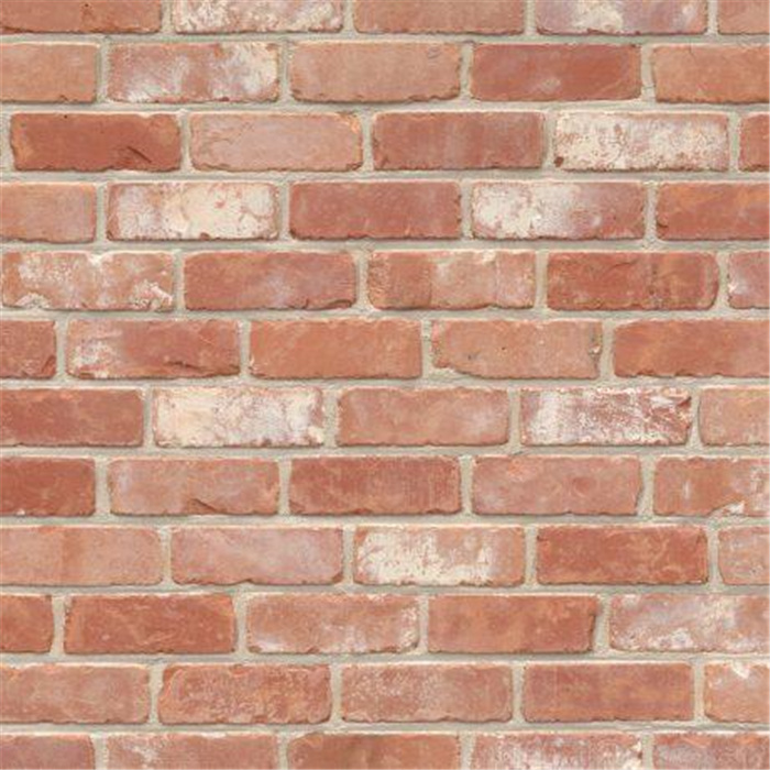 PLAQUETTE 22MM RECUP BRABANTSE ECO-BRICK M65 - 188 X 22 X 63 66,67 PCES PAR M2 (BEERSE) PLAQUETTE 22MM RECUP BRABANTSE ECO-BRICK M65 - 188 X 22 X 63 66,67 PCES PAR M2 (BEERSE)