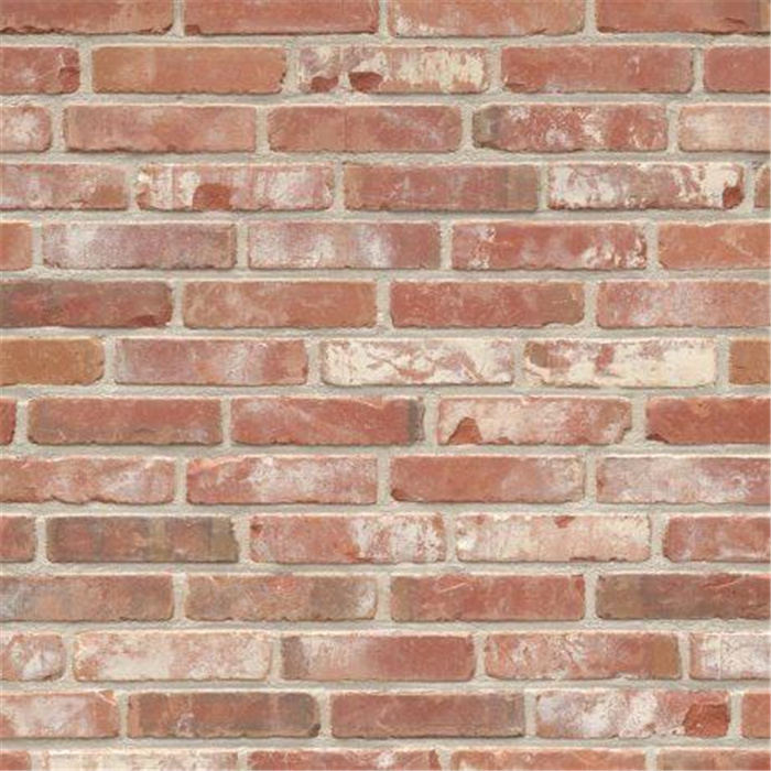 PLAQUETTE 22MM RECUP DESSELSE RECUP ECO-BRICK WF - 200 X 22 X 48 78,62 PCES PAR M2 (BEERSE) PLAQUETTE 22MM RECUP DESSELSE RECUP ECO-BRICK WF - 200 X 22 X 48 78,62 PCES PAR M2 (BEERSE)