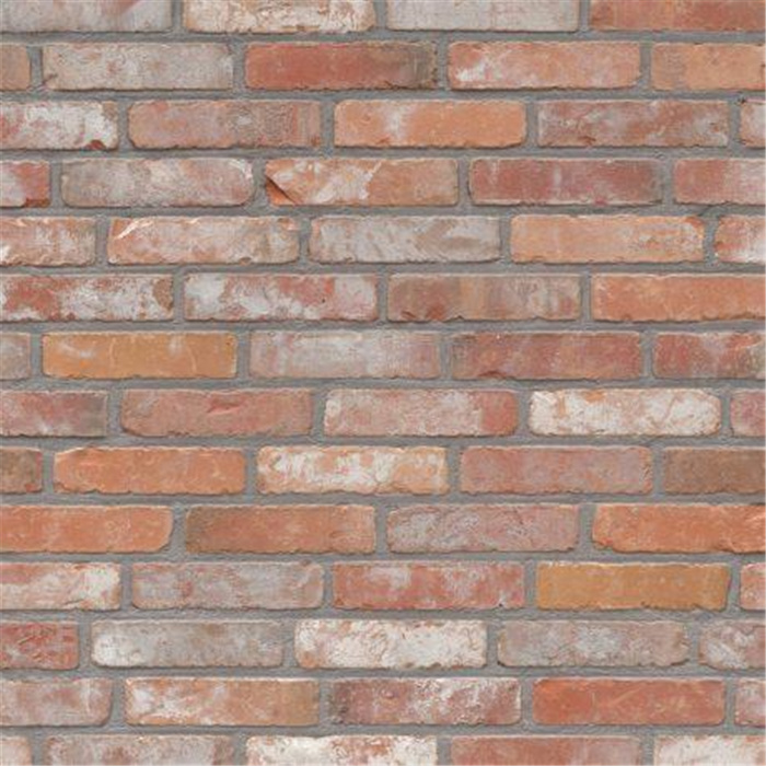 PLAQUETTE 22MM RECUP OLENSE RECUP ECO-BRICK WF - 200 X 22 X 48 78,62 PCES PAR M2 (BEERSE) PLAQUETTE 22MM RECUP OLENSE RECUP ECO-BRICK WF - 200 X 22 X 48 78,62 PCES PAR M2 (BEERSE)