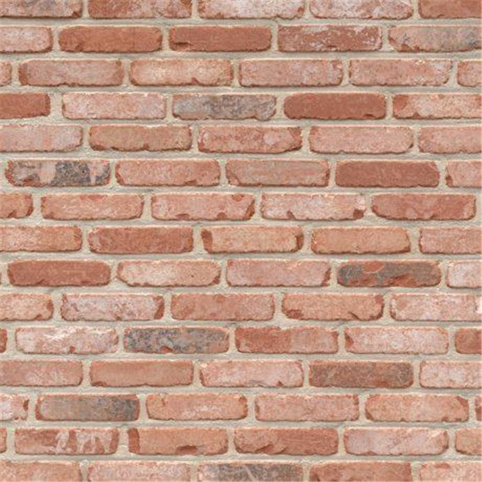 PLAQUETTE 22MM RETRO PASTORIE M50 - 188 X 22 X 48 83,33 PCES PAR M2 (BEERSE) PLAQUETTE 22MM RETRO PASTORIE M50 - 188 X 22 X 48 83,33 PCES PAR M2 (BEERSE)