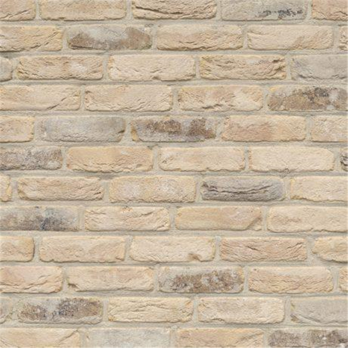 PLAQUETTE 22MM RUSTICA OUD DAMME WDF - 215 x 22 x 65 57,21 PCES PAR M2 (BEERSE) PLAQUETTE 22MM RUSTICA OUD DAMME WDF - 215 x 22 x 65 57,21 PCES PAR M2 (BEERSE)