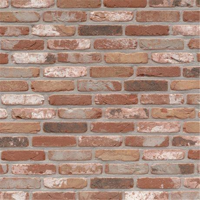 PLAQUETTE 22MM RUSTICA OUD KEMPISCH WDF - 215 x 22 x 65 57,21 PCES PAR M2 (BEERSE) PLAQUETTE 22MM RUSTICA OUD KEMPISCH WDF - 215 x 22 x 65 57,21 PCES PAR M2 (BEERSE)