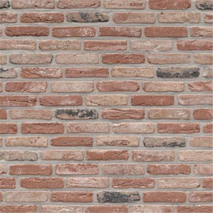 PLAQUETTE 22MM RUSTICA OUDE VELDSTEEN M50 - 188 X 22 X 48 83,33 PCES PAR M2 (BEERSE) PLAQUETTE 22MM RUSTICA OUDE VELDSTEEN M50 - 188 X 22 X 48 83,33 PCES PAR M2 (BEERSE)