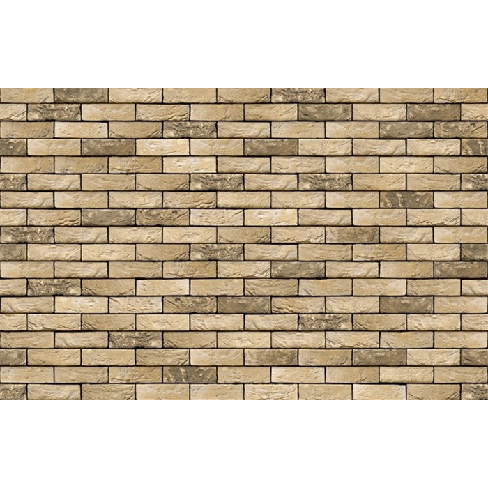 PLAQUETTES CORUM WV65 21CMX2CMX6,5CM 58 PC/M2 JOINT 12MM (LANKLAAR) PLAQUETTES CORUM WV65 21CMX2CMX6,5CM 58 PC/M2 JOINT 12MM (LANKLAAR)