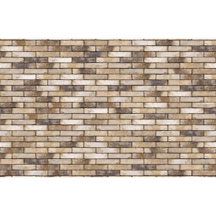 PLAQUETTES LIGURE WV65 21CMX2CMX6,5CM 58 PC/M2 JOINT 12MM (LANKLAAR) PLAQUETTES LIGURE WV65 21CMX2CMX6,5CM 58 PC/M2 JOINT 12MM (LANKLAAR)