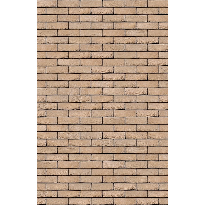 PLAQUETTES MISTRAL WV65 21CMX2CMX6,5CM 58 PC/M2 JOINT 12MM (LANKLAAR) PLAQUETTES MISTRAL WV65 21CMX2CMX6,5CM 58 PC/M2 JOINT 12MM (LANKLAAR)