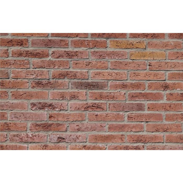 PLAQUETTES WASSERSTRICH TORBEN WV50 21CMX2CMX5CM 72 PC/M2 JOINT 12MM (LANKLAAR) PLAQUETTES WASSERSTRICH TORBEN WV50 21CMX2CMX5CM 72 PC/M2 JOINT 12MM (LANKLAAR)