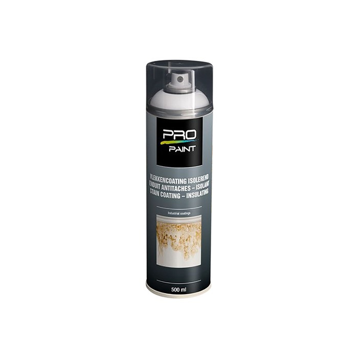 PRO-PAINT VERNIS DE TEINTURE PRO-PAINT VERNIS DE TEINTURE