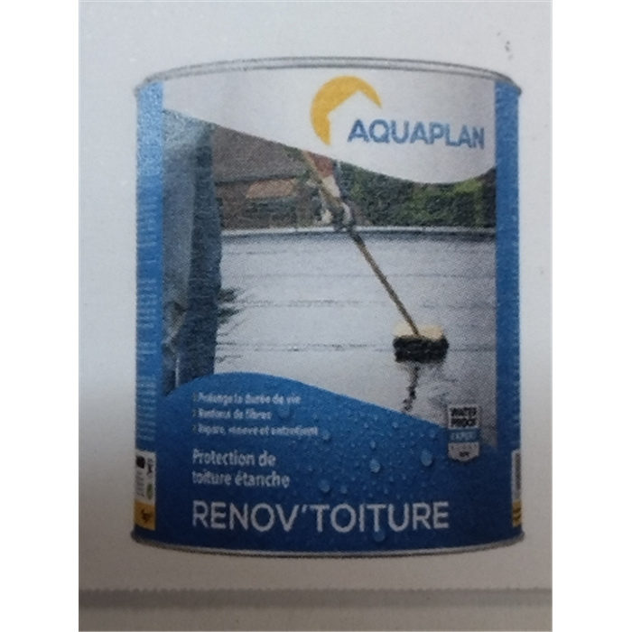 RENOV'TOITURE 1 KG RENOV'TOITURE 1 KG